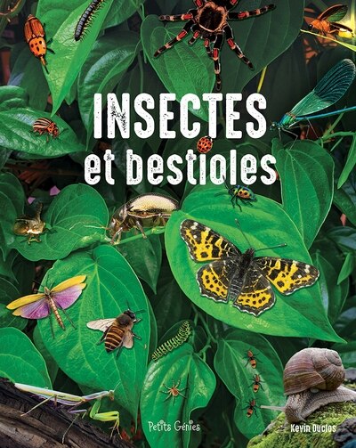 Front cover_Insectes et bestioles