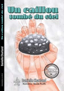 Couverture_Un caillou tomb&eacute; du ciel