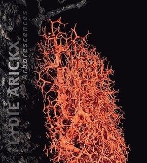 Couverture_Lydie Arickx : arborescences : exposition, Domaine national de Chambord, du 30 mai au 17 octobre 2021