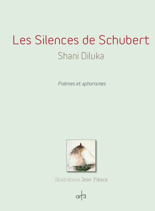 Couverture_Les silences de Schubert