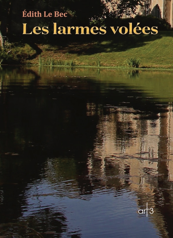 Couverture_Les larmes vol&eacute;es