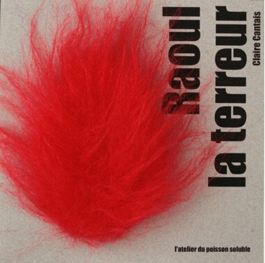 Couverture_Raoul la terreur