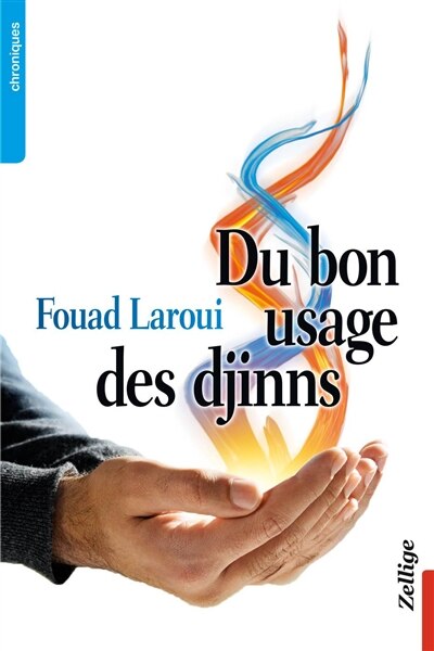 Front cover_Du bon usage des djinns