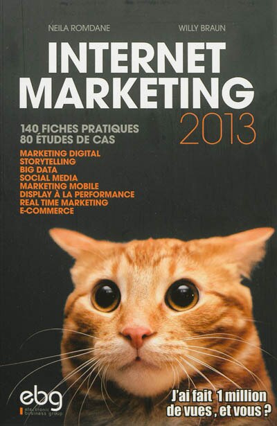 Couverture_Internet marketing 2013 : 140 fiches pratiques, 80 études de cas