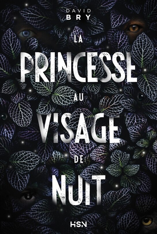 Front cover_La princesse au visage de nuit