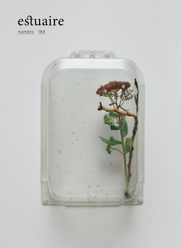 Couverture_Estuaire, no 184
