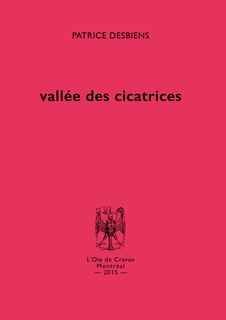 Couverture_Vallée des cicatrices