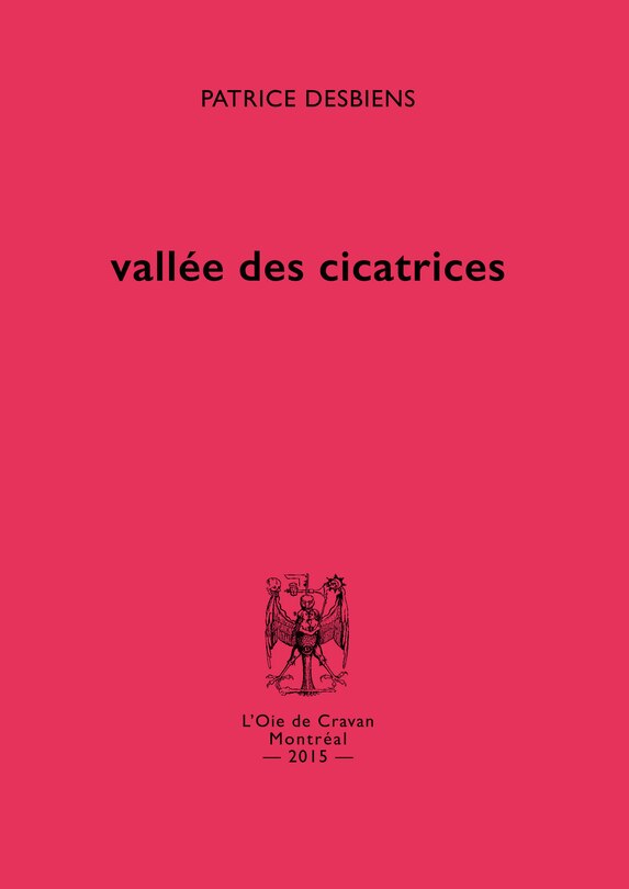 Couverture_Vallée des cicatrices