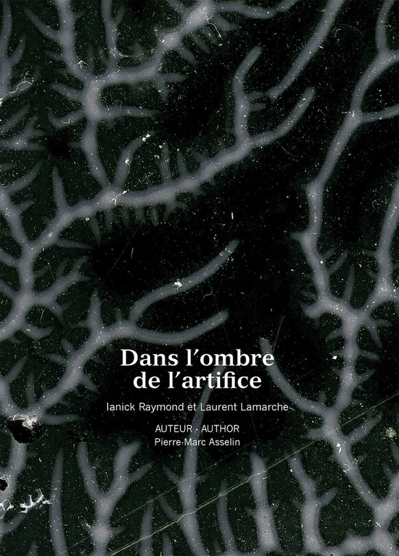 Dans l'ombre de l'artifice