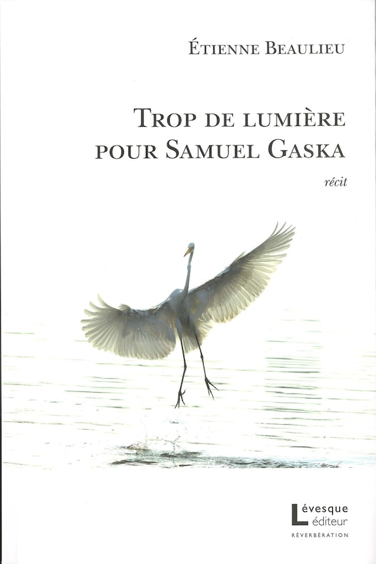 Couverture_Trop de lumière pour Samuel Gaska