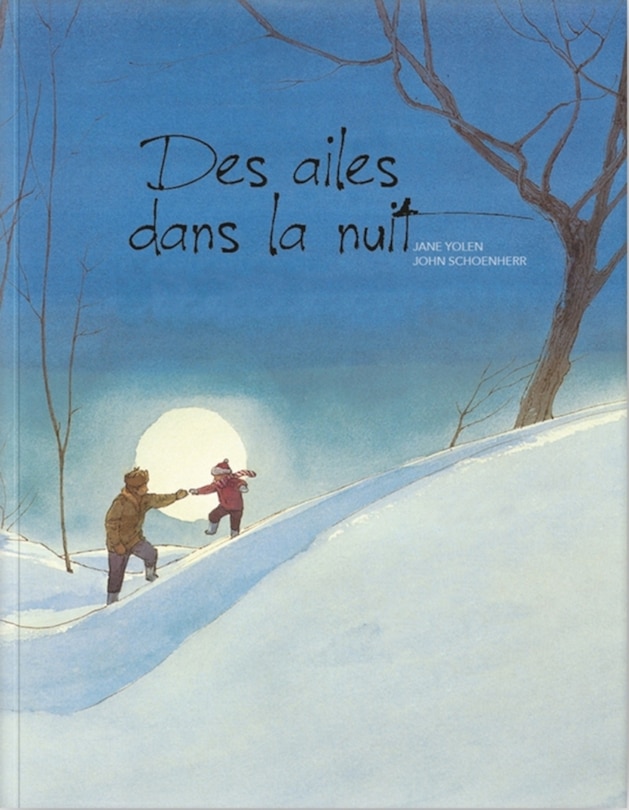 Front cover_Des ailes dans la nuit