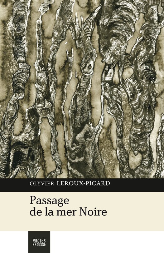 Couverture_Passage de la Mer noire