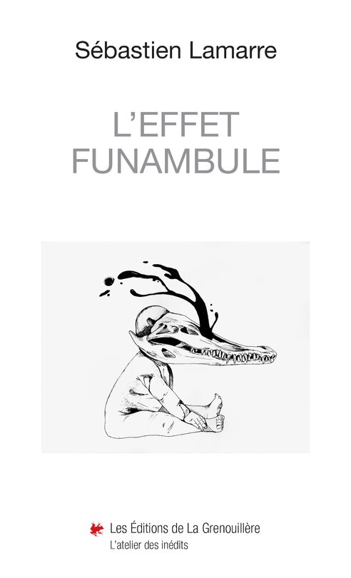 Front cover_L' effet funambule