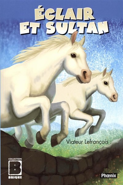 Front cover_Éclair et Sultan