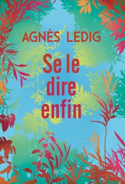 Couverture_SE LE DIRE ENFIN