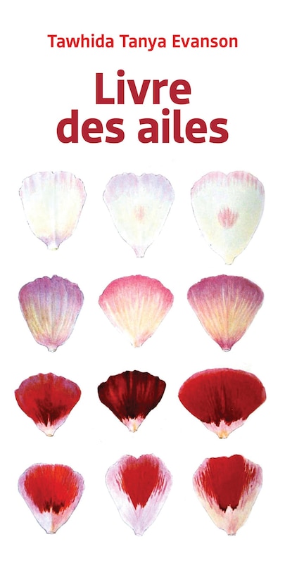 Couverture_LIVRE DES AILES