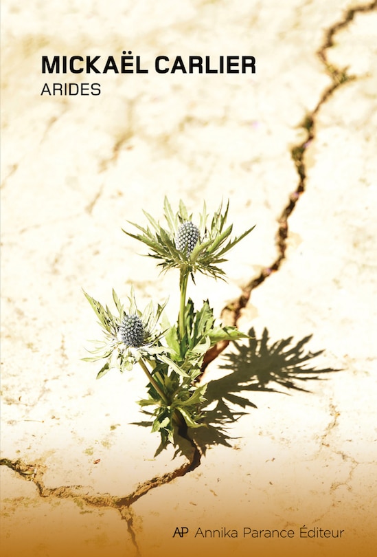 Couverture_Arides