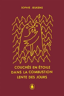 Front cover_Couchés en étoile dans la combustion lente des jours