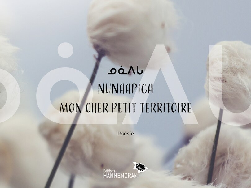 Front cover_???? / Nunaapiga / Mon cher petit territoire