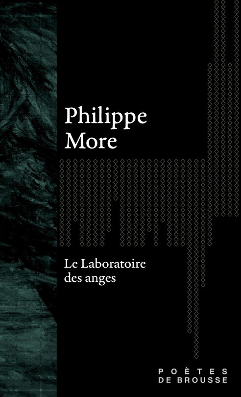 Front cover_Le laboratoire des anges