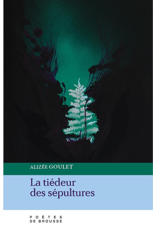 Couverture_La tiédeur des sépultures