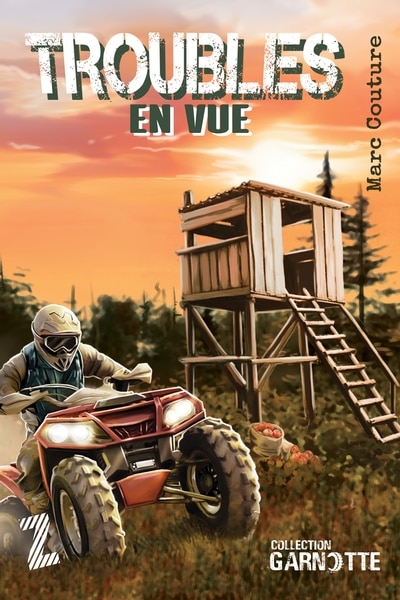 Couverture_Troubles en vue