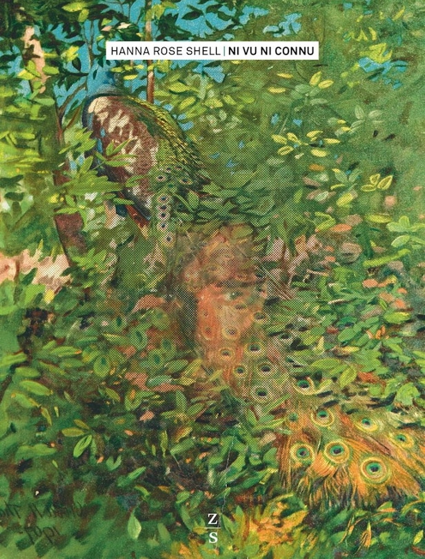 Ni vu, ni connu: le camouflage au regard de l'objectif