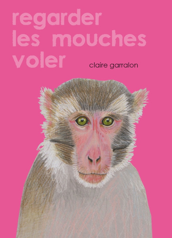 Couverture_Regarder les mouches voler