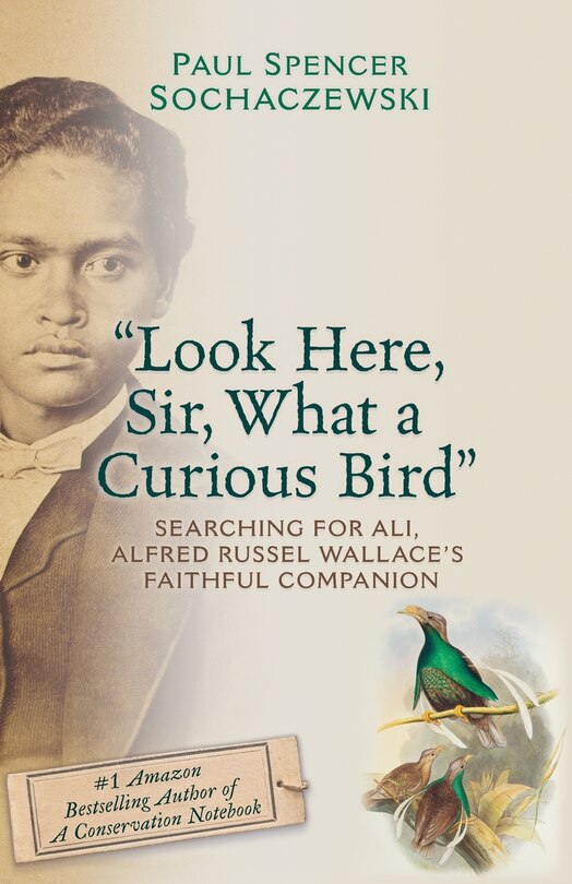 Front cover_Look Here, Sir, What a Curious Bird