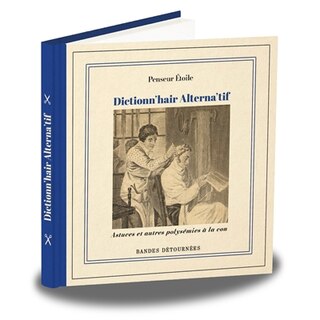 Couverture_Dictionn'hair alterna'tif : astuces et autres polysémies à la con
