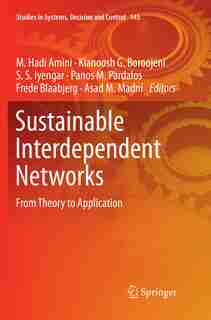 Sustainable Interdependent Networks: From Theory To Application de M. Hadi Amini