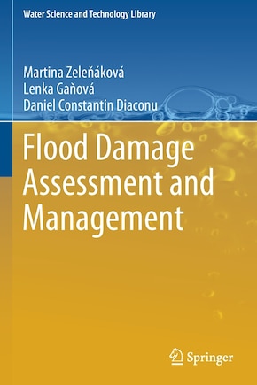 Flood Damage Assessment And Management