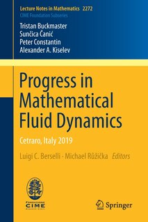 Couverture_Progress In Mathematical Fluid Dynamics