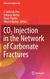 Couverture_Co2 Injection In The Network Of Carbonate Fractures