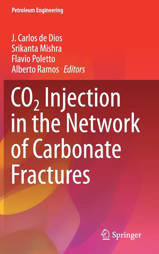 Couverture_Co2 Injection In The Network Of Carbonate Fractures