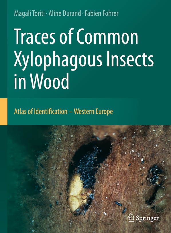 Front cover_Traces Of Common Xylophagous Insects In Wood