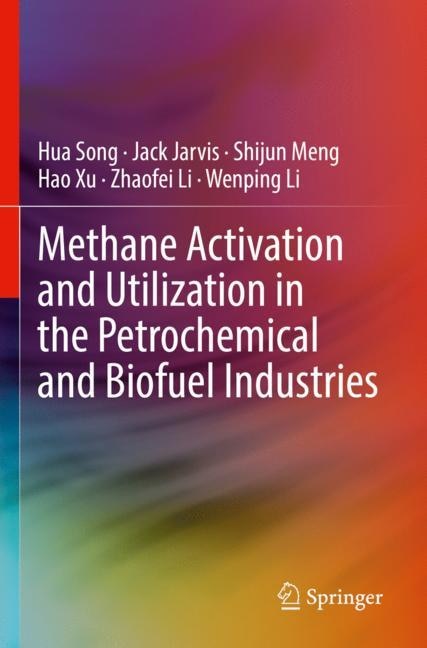 Methane Activation and Utilization in the Petrochemical and Biofuel Industries