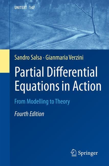 Couverture_Partial Differential Equations in Action