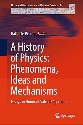 A History of Physics: Phenomena, Ideas and Mechanisms: Essays in Honor of Salvo D'Agostino