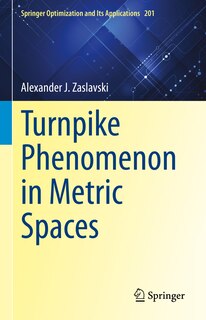 Front cover_Turnpike Phenomenon in Metric Spaces