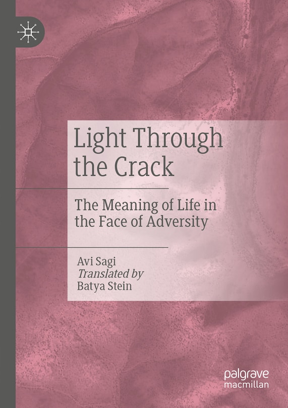 Couverture_Light Through the Crack