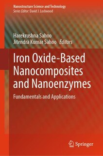 Couverture_Iron Oxide-based Nanocomposites and Nanoenzymes