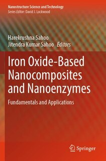 Couverture_Iron Oxide-Based Nanocomposites and Nanoenzymes