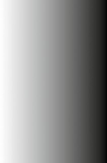 Couverture_Solitonic Neural Networks