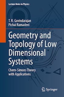 Front cover_Geometry and Topology of Low Dimensional Systems