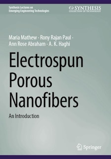 Couverture_Electrospun Porous Nanofibers