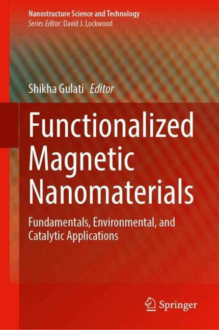 Couverture_Functionalized Magnetic Nanomaterials