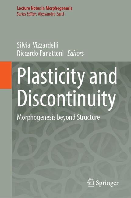 Couverture_Plasticity and Discontinuity