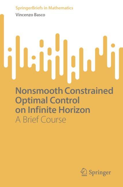 Front cover_Nonsmooth Constrained Optimal Control on Infinite Horizon