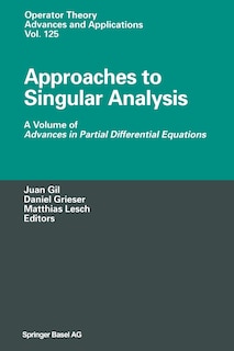 Approaches to Singular Analysis: A Volume of Advances in Partial Differential Equations